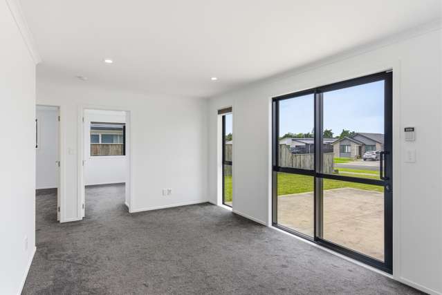 97 Hinemoa Street Levin_2