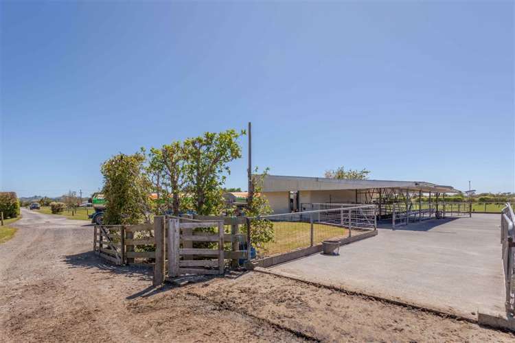 68 Parkhurst Road Helensville_9