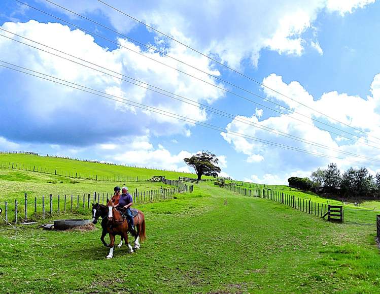 1524 Kirikopuni Valley Road Whangarei_21