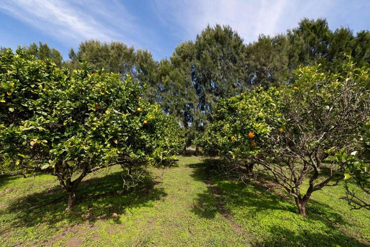 908A Te Ahu Ahu Road, Waimate North Kerikeri_24