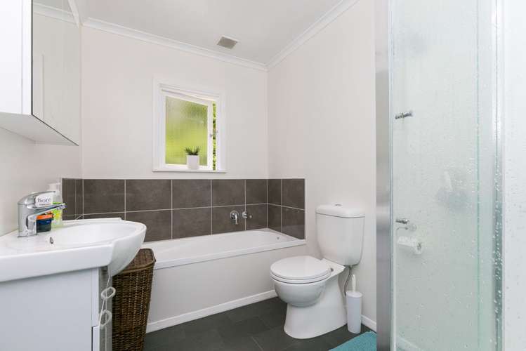 113 Miramar North Road Miramar_12