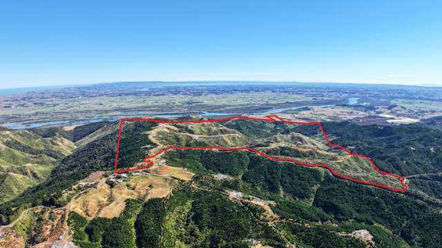 1036 Klondyke Road Port Waikato_1