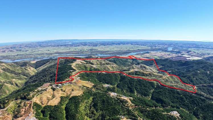 1036 Klondyke Road Port Waikato_1
