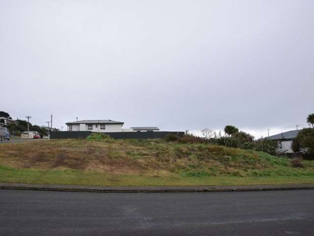 163 Lagan Street Bluff_3