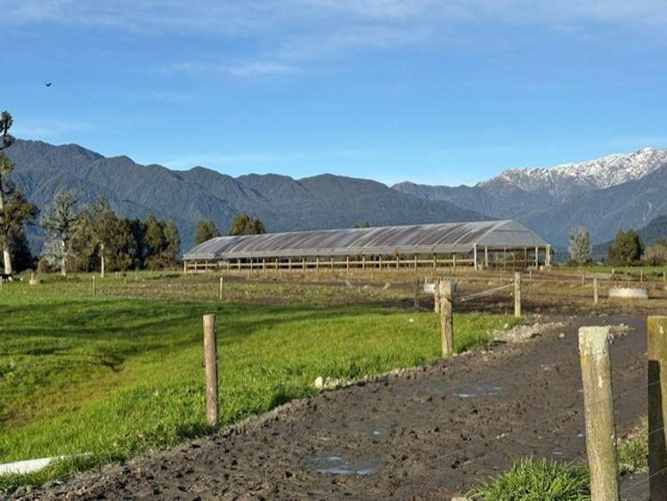 192-306 Johnston Road Kowhitirangi_13