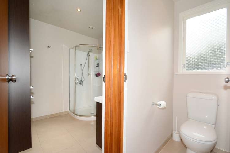 120 Hargest Crescent Saint Clair_7