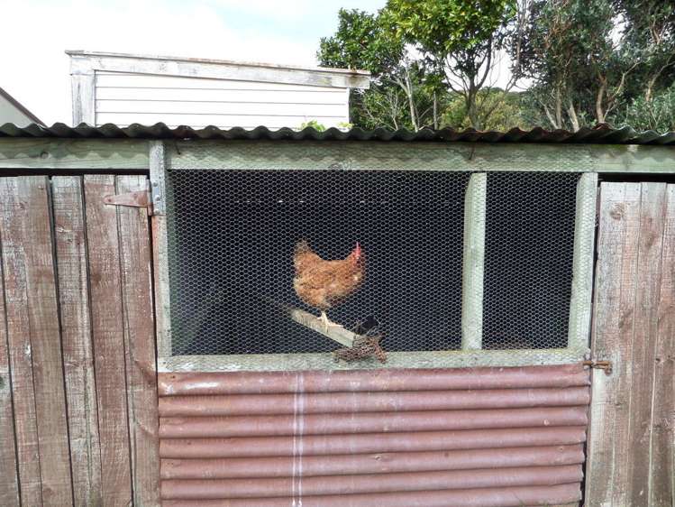 13 Churchill Crescent Featherston_11