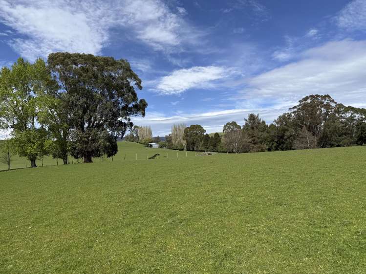 2207 Otautau Tuatapere Road Pukemaori_18