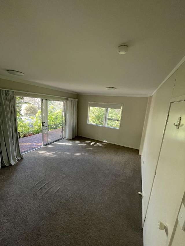 17B Chatfield Place Remuera_2