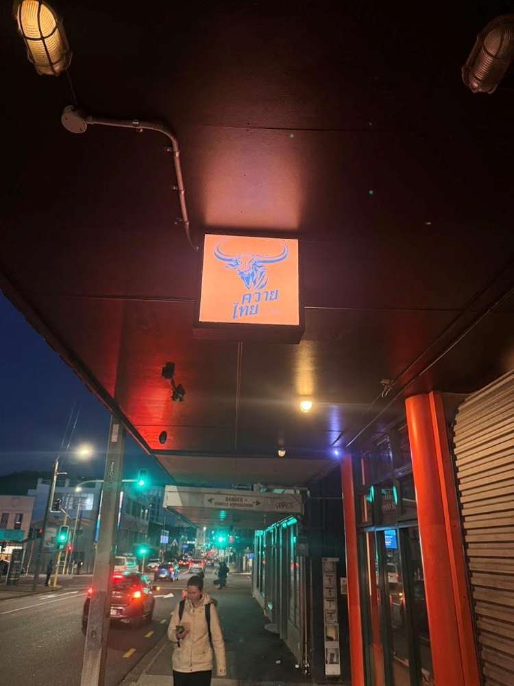 114 Vivian Street Te Aro_5