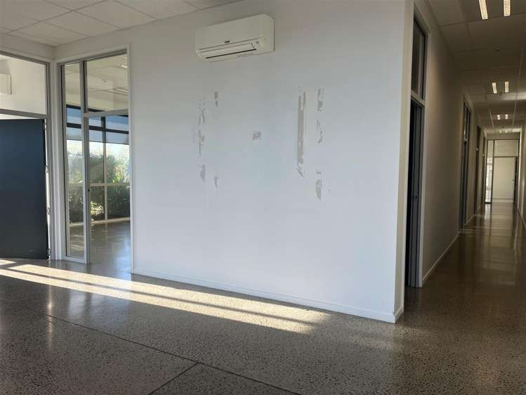 37 Hickory Place Islington_6