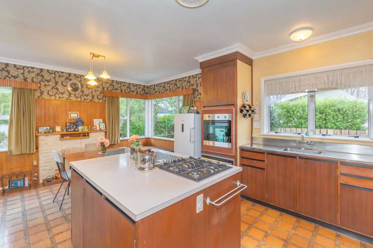 25 Roosevelt Street Levin_5