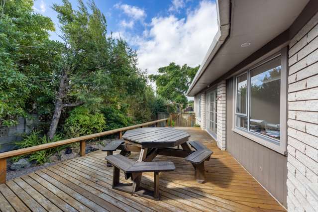 19 Mudgway Place Awapuni_1