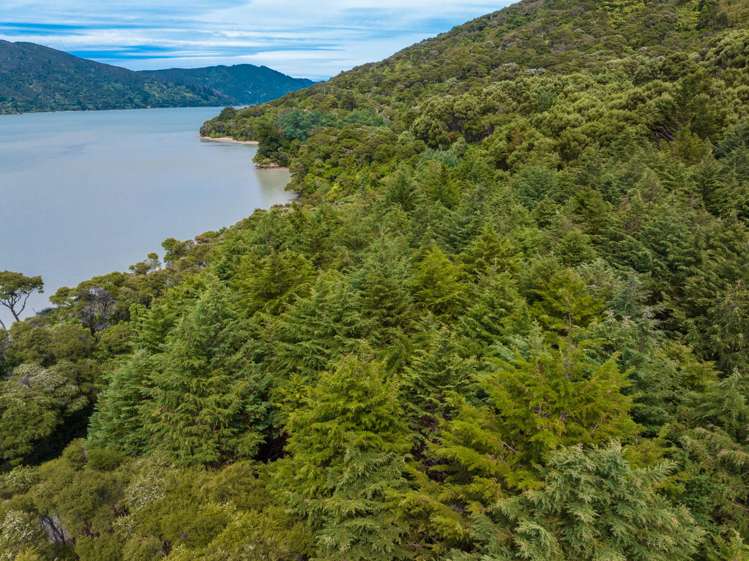 Kenepuru Head Marlborough Sounds_7