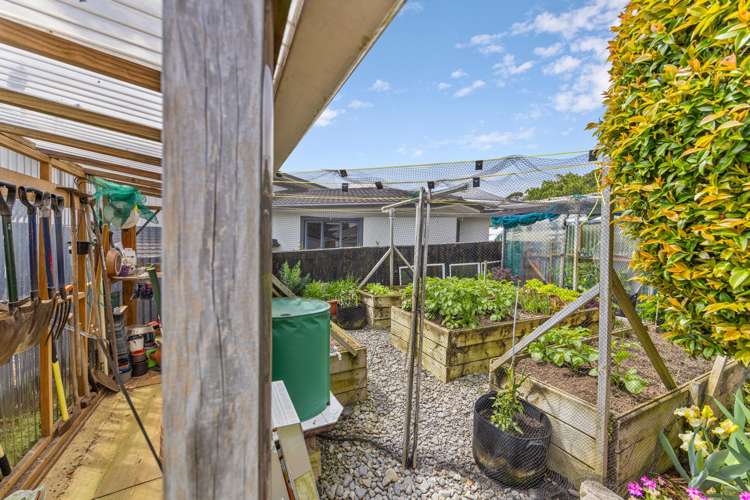 83c Belt Road New Plymouth_31