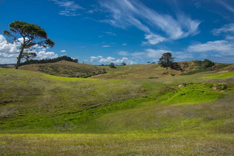 41 Windmill Glen Road Dairy Flat_3