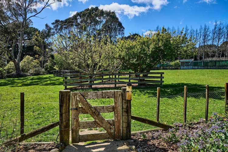 344A Flightys Road Judgeford_34
