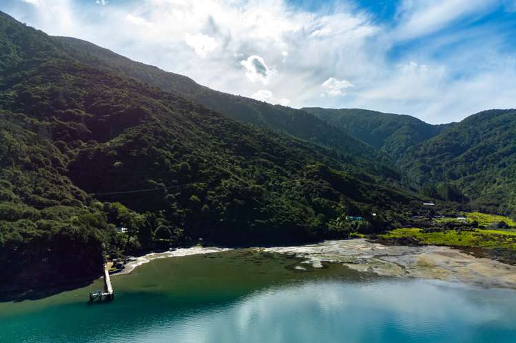Endeavour Inlet Furneaux_8