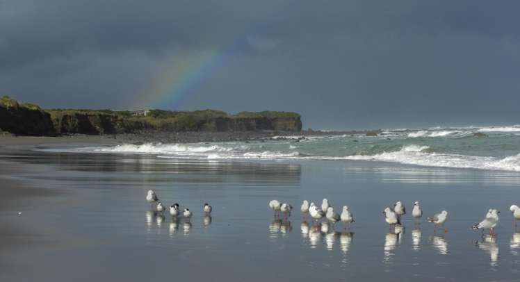 304 Tai Road Opunake_7