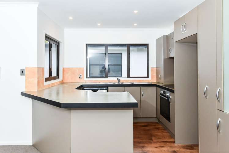 42b Willoughby Street Whitiora_12