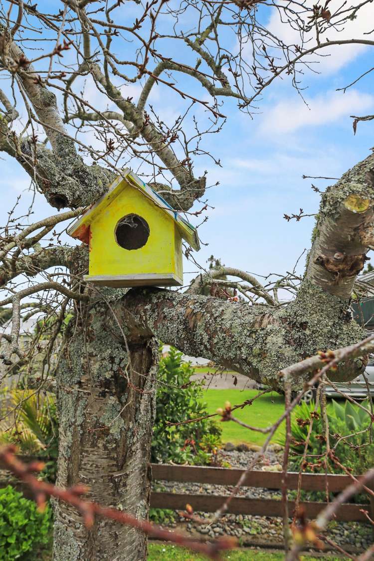 108 Waikiekie Road Thames_16