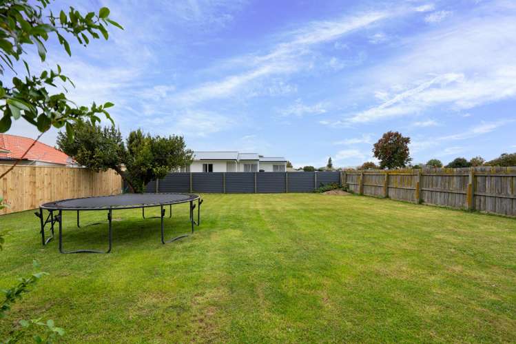 1016b Pukatea Street St Leonards_6