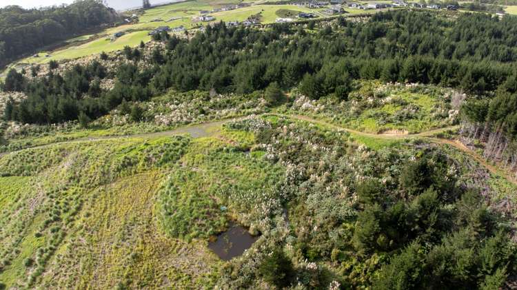 Village 2/& Balance Land, Ara Weiti Road_4
