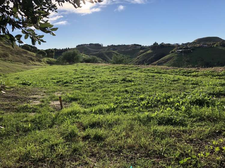 250 Puketapu Road Taradale_1