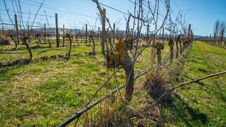 148 Omihi Road Waipara_21