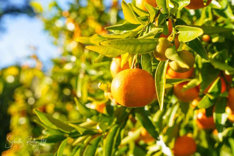 1181 State Highway 12_2