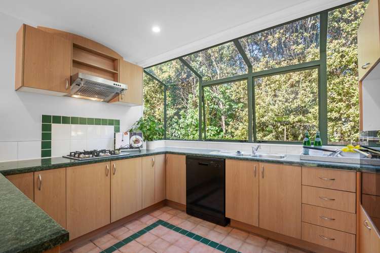 7b Woodbine Avenue Greenlane_23