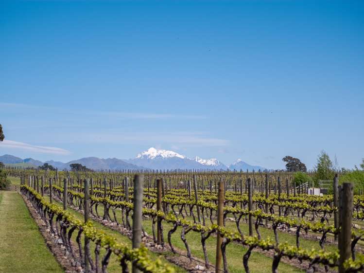 1723 Redwood Pass Road Seddon_6