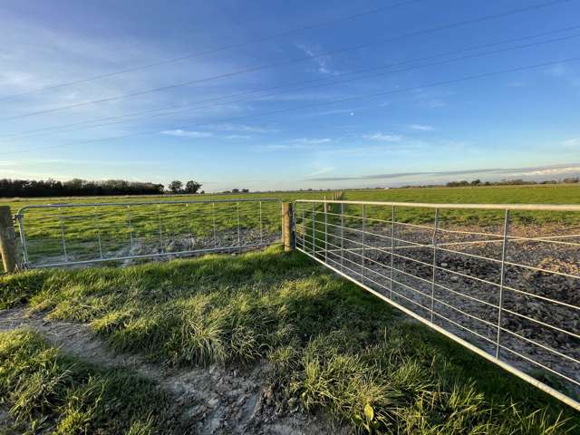 1228 Camerons Line Feilding_4