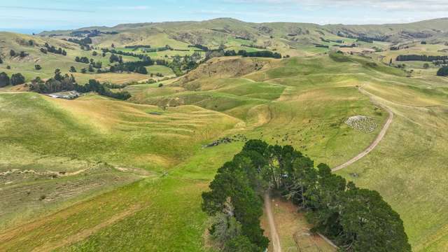 2 Cotswold Road Omihi_4