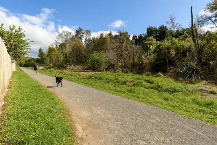 114 Carlton Street Bellevue_30