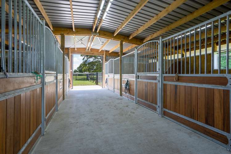 442 Bruntwood Road Tamahere_3