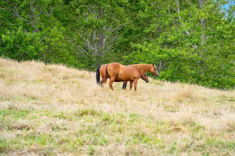 1498 Oneriri Road Kaiwaka_39