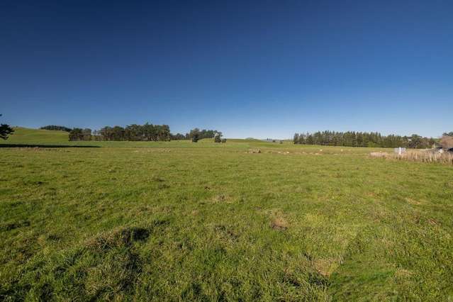 Lt 17 and 18 Matamau/Ormondville Road Dannevirke_4