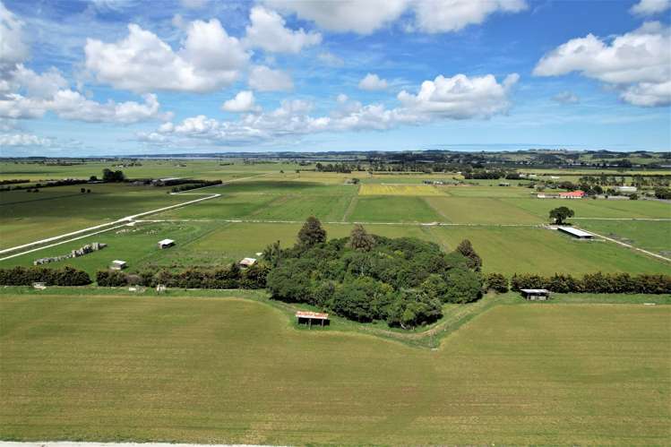 Tramline Road Ruawai_15