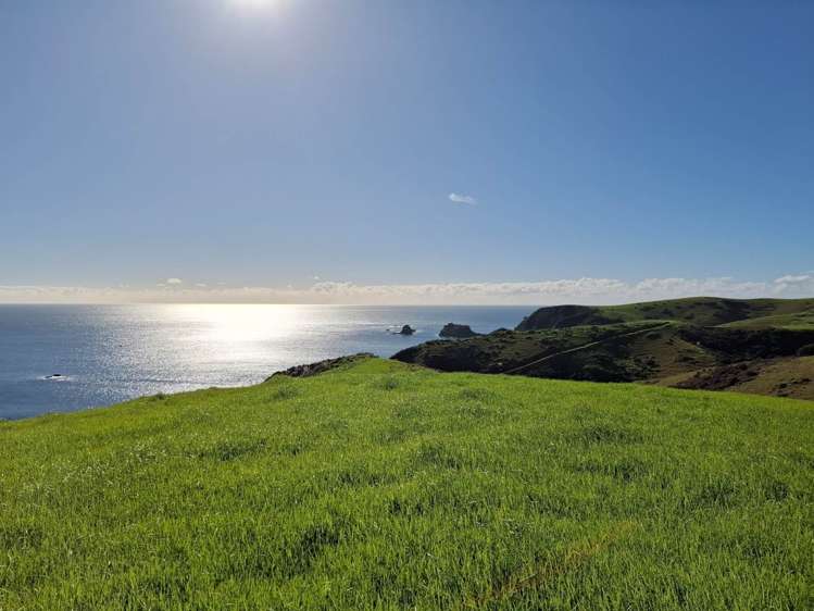 1811 Rangihoua Road Kerikeri_18