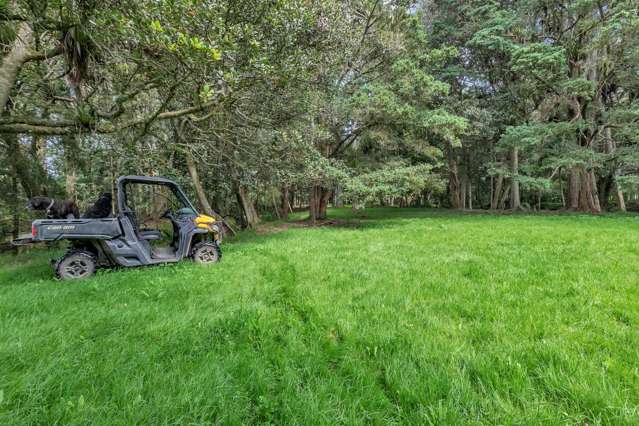 90 Mckinley Road Kokopu_4