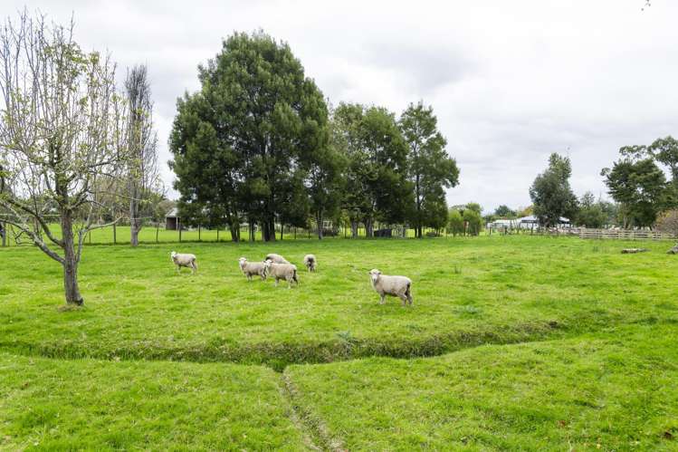 121 Somerton Road Makauri_23