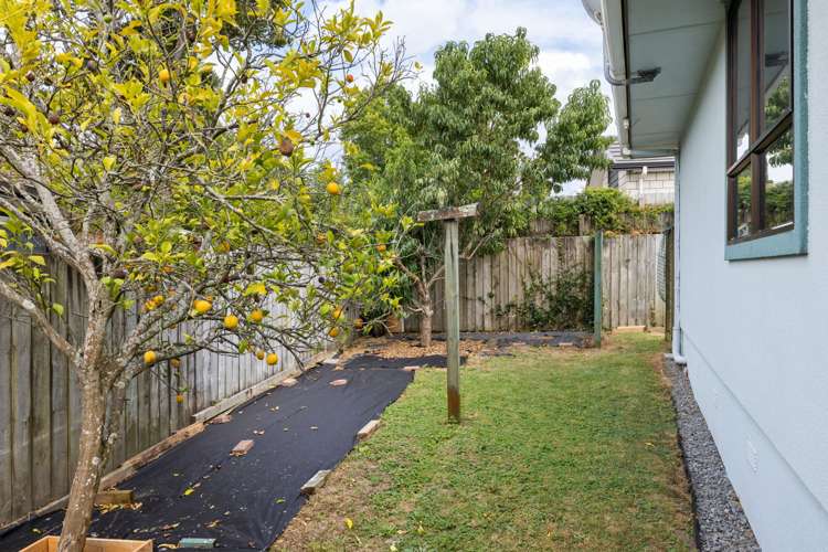 57a Ascot Road Chartwell_11