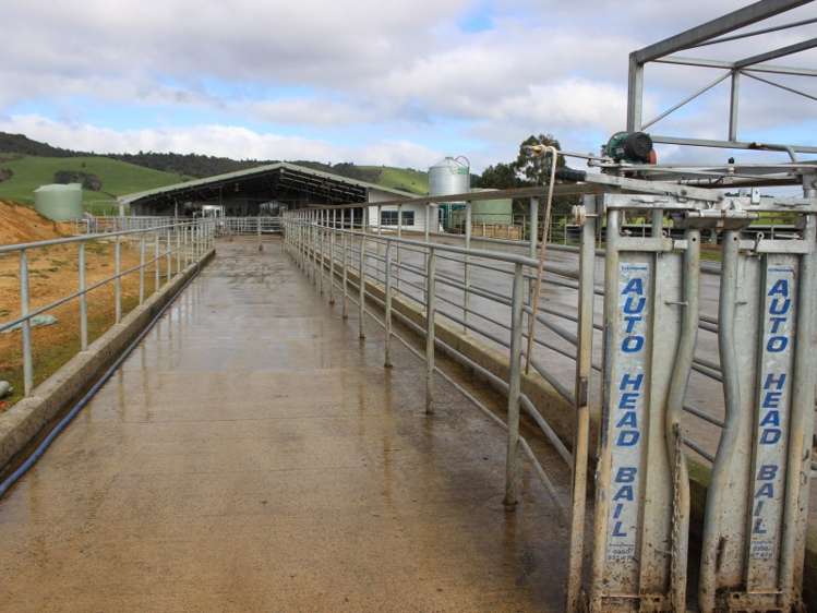 380 Matheson Road Catlins Surrounds_11