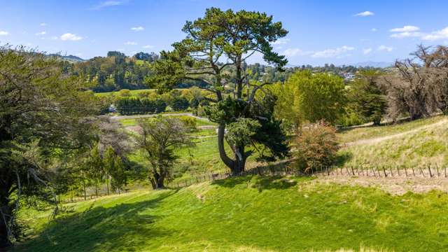 Lot 4, 127 Ongaonga Road Waipawa_3