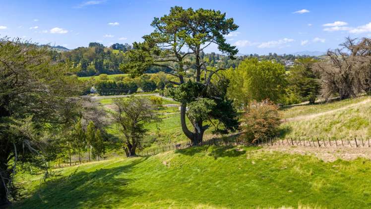 Lot 4, 127 Ongaonga Road Waipawa_5