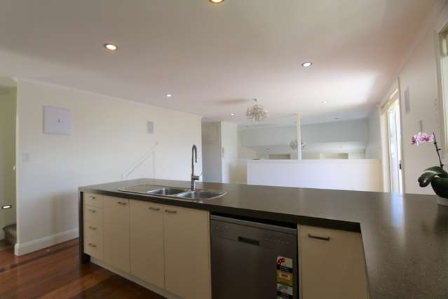 22a Wright Road Point Chevalier_4