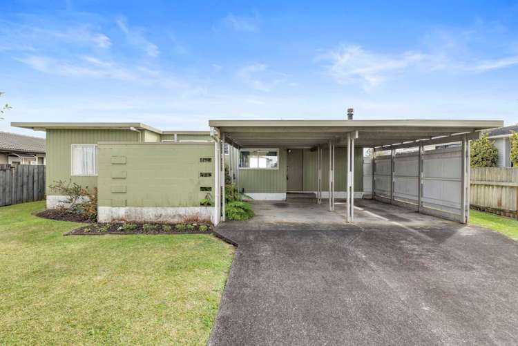 23 Tatariki Street_0