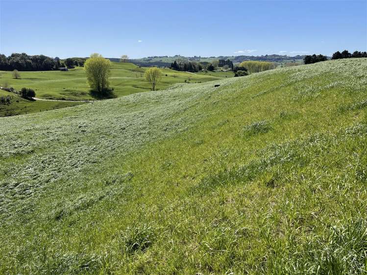 788 Troopers Road Te Kuiti_10