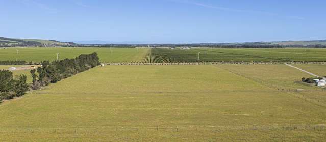 136 Purchas Road Amberley_2